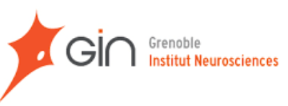 grenoble institut de neuroscience